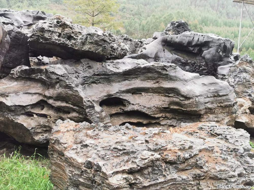 风景石、假山石大量有货，有需要的欢迎联系 - 新手上路 - 济宁生活社区 - 济宁28生活网 jining.28life.net