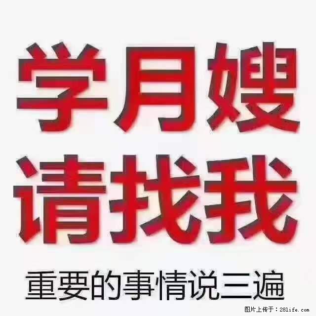 为什么要学习月嫂，育婴师？ - 其他广告 - 广告专区 - 济宁分类信息 - 济宁28生活网 jining.28life.net