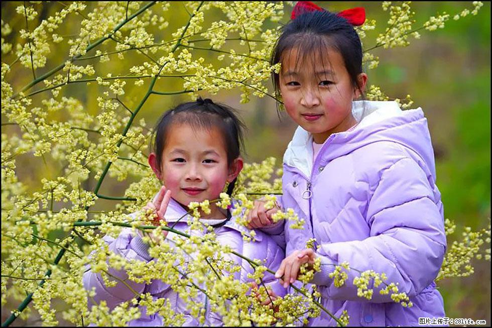 【春天，广西桂林灌阳县向您发出邀请！】米珠山前有片山苍子花在飘香 - 游山玩水 - 济宁生活社区 - 济宁28生活网 jining.28life.net