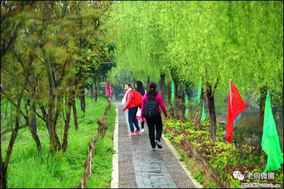 【春天，广西桂林灌阳县向您发出邀请！】江口老街又逢春 - 游山玩水 - 济宁生活社区 - 济宁28生活网 jining.28life.net
