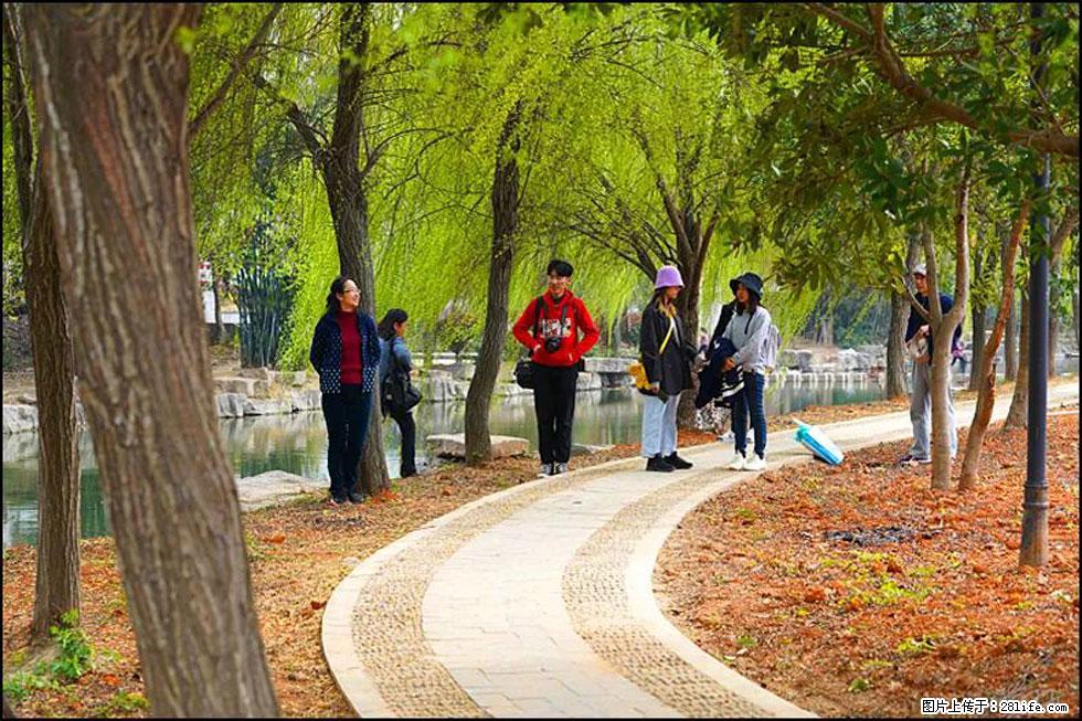 【春天，广西桂林灌阳县向您发出邀请！】江口老街又逢春 - 游山玩水 - 济宁生活社区 - 济宁28生活网 jining.28life.net