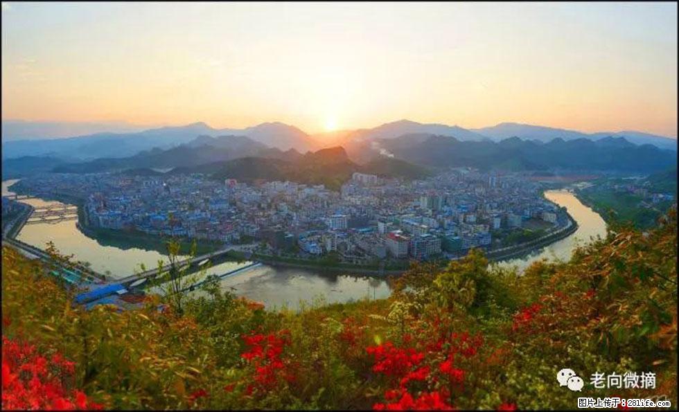【春天，广西桂林灌阳县向您发出邀请！】登麒麟山，相约映山红 - 游山玩水 - 济宁生活社区 - 济宁28生活网 jining.28life.net
