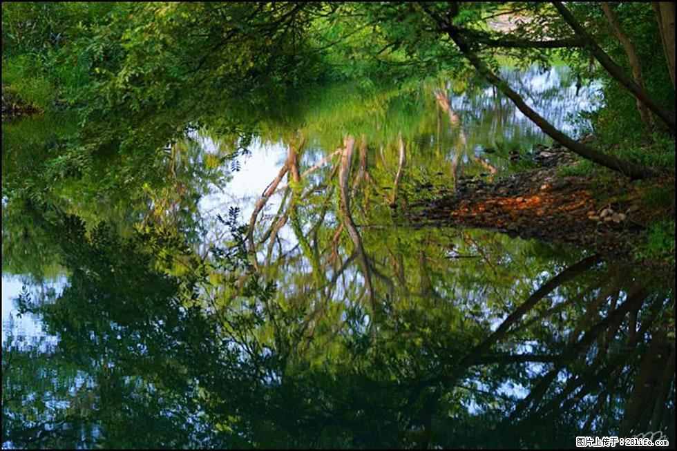 【春天,广西桂林灌阳县向您发出邀请!】熊家寨湿地公园 - 游山玩水 - 济宁生活社区 - 济宁28生活网 jining.28life.net