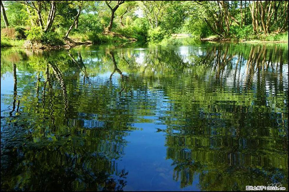 【春天,广西桂林灌阳县向您发出邀请!】熊家寨湿地公园 - 游山玩水 - 济宁生活社区 - 济宁28生活网 jining.28life.net