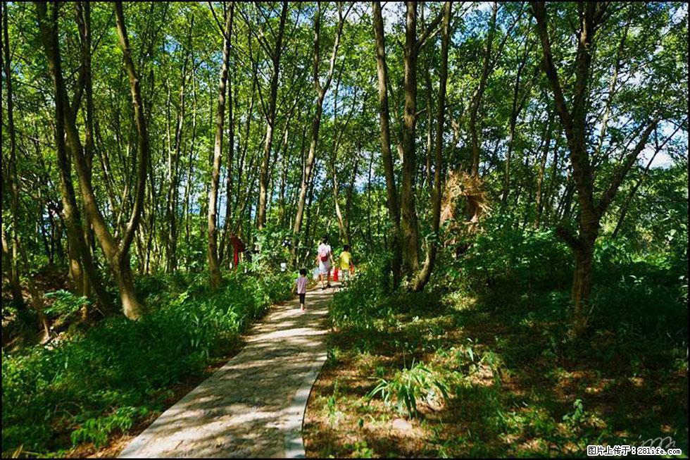 【春天,广西桂林灌阳县向您发出邀请!】熊家寨湿地公园 - 游山玩水 - 济宁生活社区 - 济宁28生活网 jining.28life.net