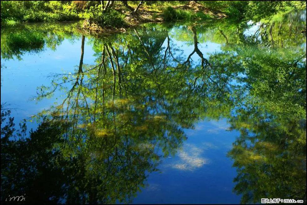 【春天,广西桂林灌阳县向您发出邀请!】熊家寨湿地公园 - 游山玩水 - 济宁生活社区 - 济宁28生活网 jining.28life.net
