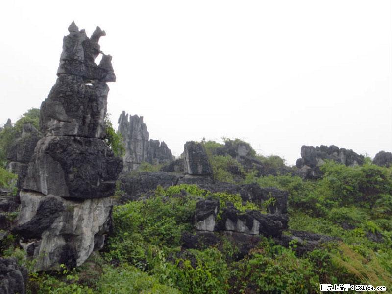 桂林旅游名城景点：灌阳文市石林 - 游山玩水 - 济宁生活社区 - 济宁28生活网 jining.28life.net