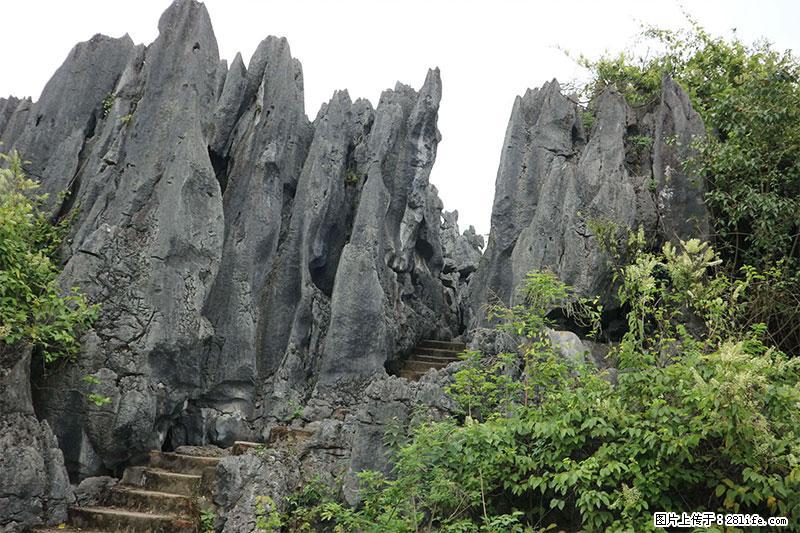 桂林旅游名城景点：灌阳文市石林 - 游山玩水 - 济宁生活社区 - 济宁28生活网 jining.28life.net