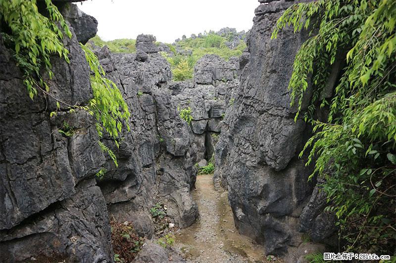 桂林旅游名城景点：灌阳文市石林 - 游山玩水 - 济宁生活社区 - 济宁28生活网 jining.28life.net