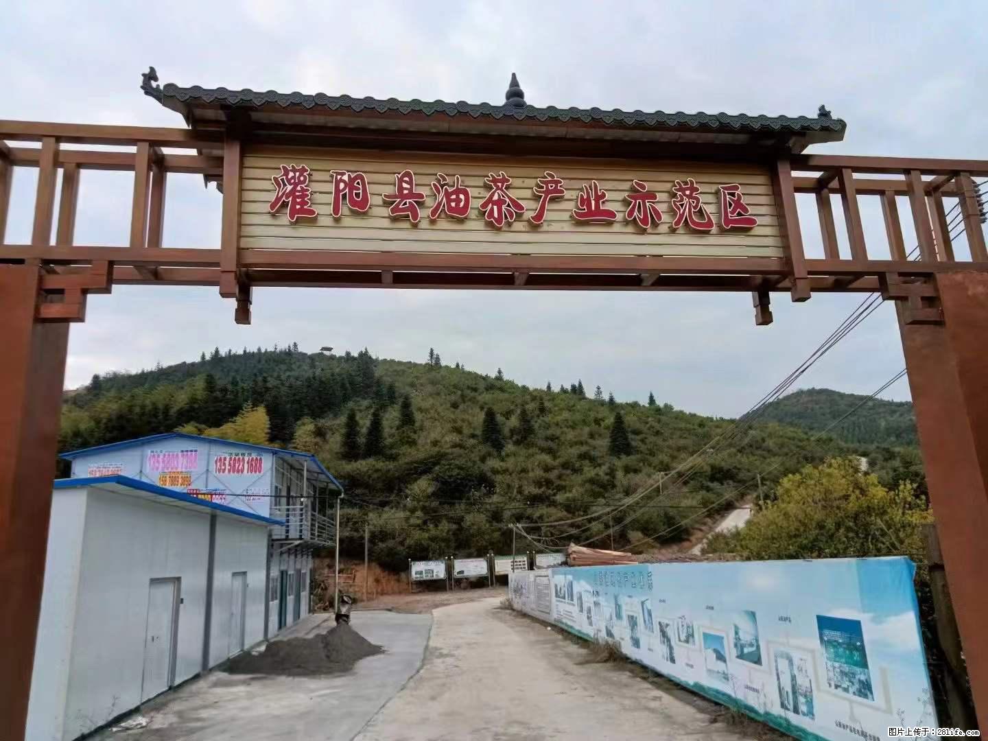 【灌阳县油茶产业示范区】一个有着充实的精神生活的人，对待身外之物自会有一种淡泊的态度 - 美食天地 - 济宁生活社区 - 济宁28生活网 jining.28life.net