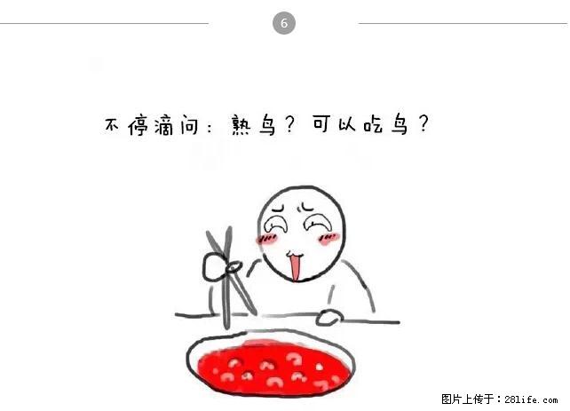 千万不要和这9种哈卵一起吃火锅！ - 美食天地 - 济宁生活社区 - 济宁28生活网 jining.28life.net