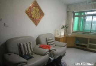 红星路东门小学1楼带院家具家电齐全拎包入住 - 济宁28生活网 jining.28life.net