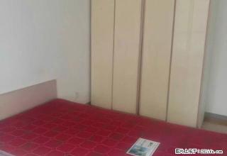 润景园4楼2室1厅精装家具家电煤暖上储宽带闭路等 - 济宁28生活网 jining.28life.net