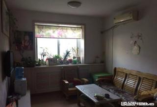 南池怡景园南池公园家具家电齐全精装修 - 济宁28生活网 jining.28life.net