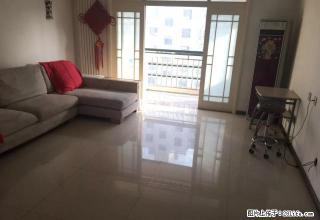 都市春天 吴泰闸路 房东配家电家具齐全 仙营绿地北 - 济宁28生活网 jining.28life.net