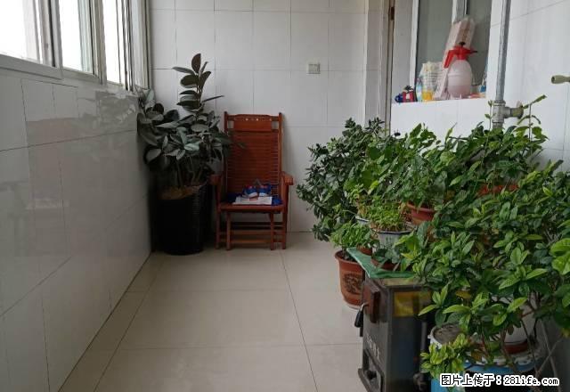 建设北路苗都新苑小区精装修拎包入住 - 房屋出租 - 房屋租售 - 济宁分类信息 - 济宁28生活网 jining.28life.net