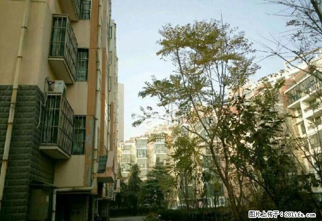杨柳国际新城二室二厅齐全精装拎包入住 - 房屋出租 - 房屋租售 - 济宁分类信息 - 济宁28生活网 jining.28life.net