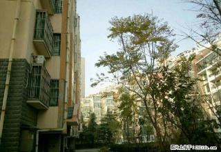 杨柳国际新城二室二厅齐全精装拎包入住 - 济宁28生活网 jining.28life.net