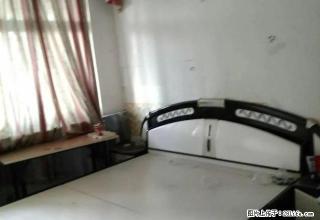 万达运河城核桃园实小附中浣笔泉两室家具家电750 - 济宁28生活网 jining.28life.net