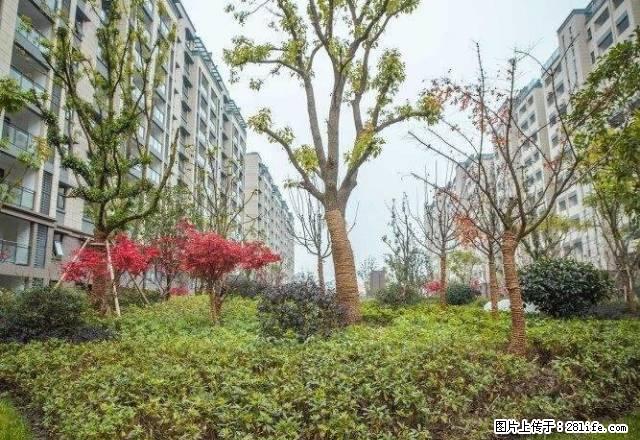 同济花园5楼，2室精装修，家具家电齐全拎包入住 新房子 - 房屋出租 - 房屋租售 - 济宁分类信息 - 济宁28生活网 jining.28life.net