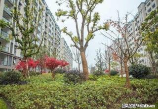 同济花园5楼，2室精装修，家具家电齐全拎包入住 新房子 - 济宁28生活网 jining.28life.net