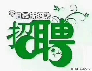 【招聘摄像师】待遇：试用期6000元/月，转正7000元/月+五险一金+餐补+节日福利+奖金 - 济宁28生活网 jining.28life.net