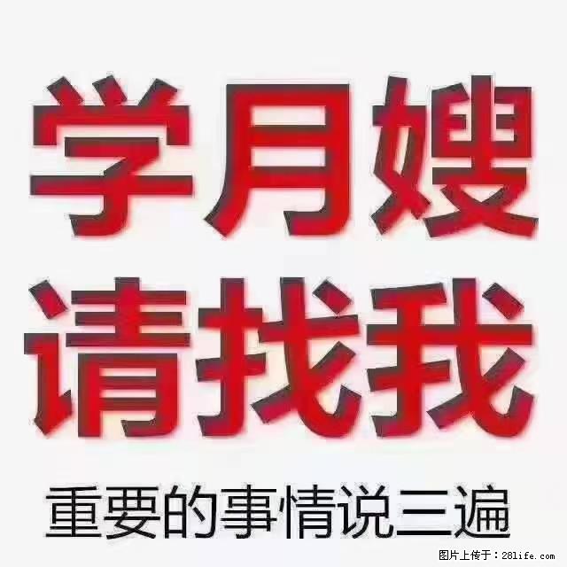 【招聘】月嫂，上海徐汇区 - 职场交流 - 济宁生活社区 - 济宁28生活网 jining.28life.net