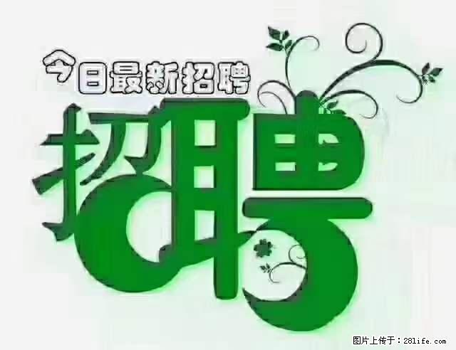 上海青浦区招仓管 - 职场交流 - 济宁生活社区 - 济宁28生活网 jining.28life.net