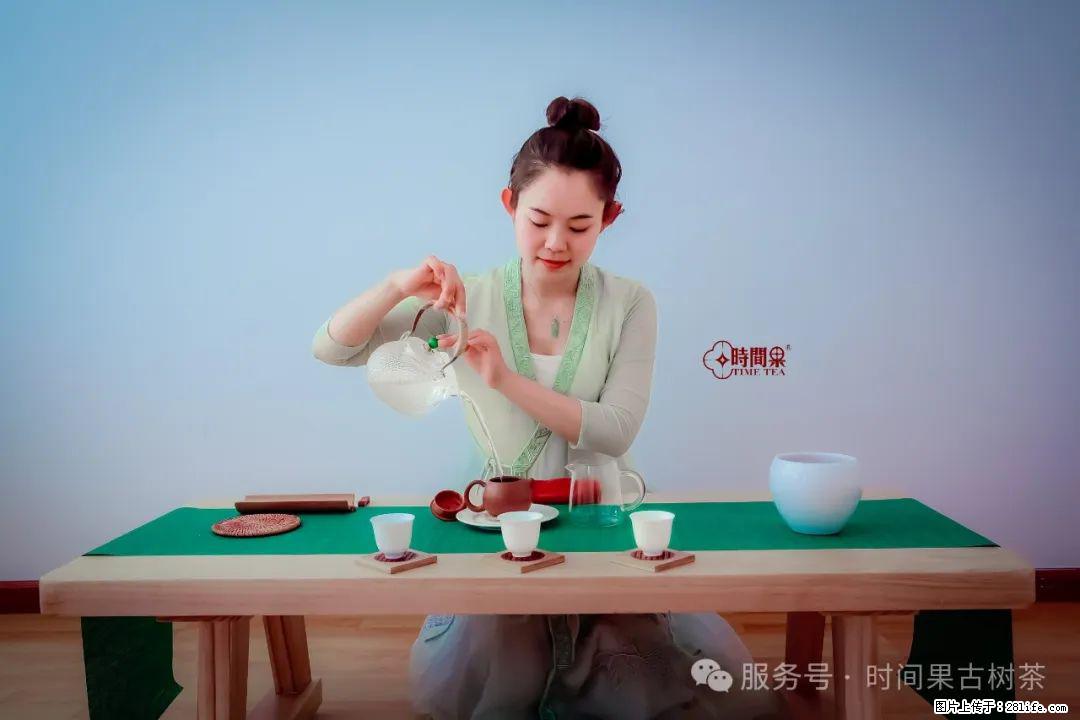 时间果百年古树龙珠普洱生茶 - 购物交流 - 济宁生活社区 - 济宁28生活网 jining.28life.net