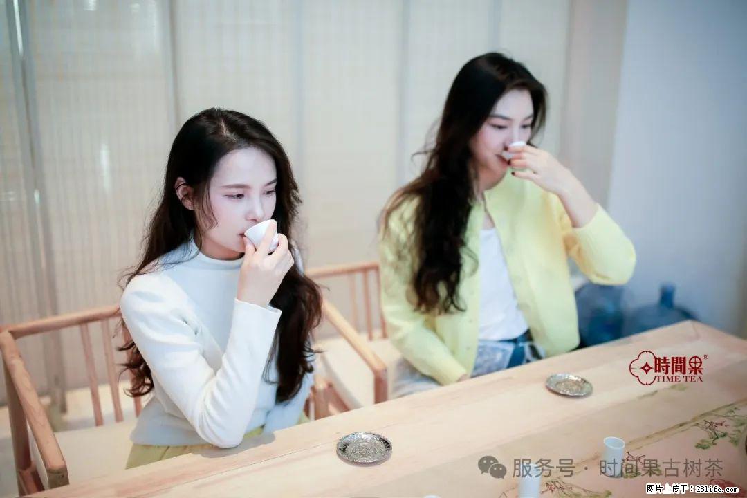 时间果百年古树龙珠普洱生茶 - 购物交流 - 济宁生活社区 - 济宁28生活网 jining.28life.net