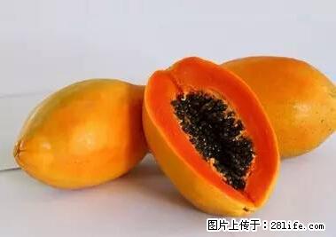 晕车、脚气、牙齿变黄、皮肤粗糙？学会这些三分钟搞定！ - 济宁生活资讯 - 济宁28生活网 jining.28life.net