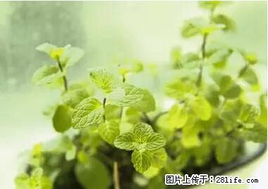 晕车、脚气、牙齿变黄、皮肤粗糙？学会这些三分钟搞定！ - 济宁生活资讯 - 济宁28生活网 jining.28life.net