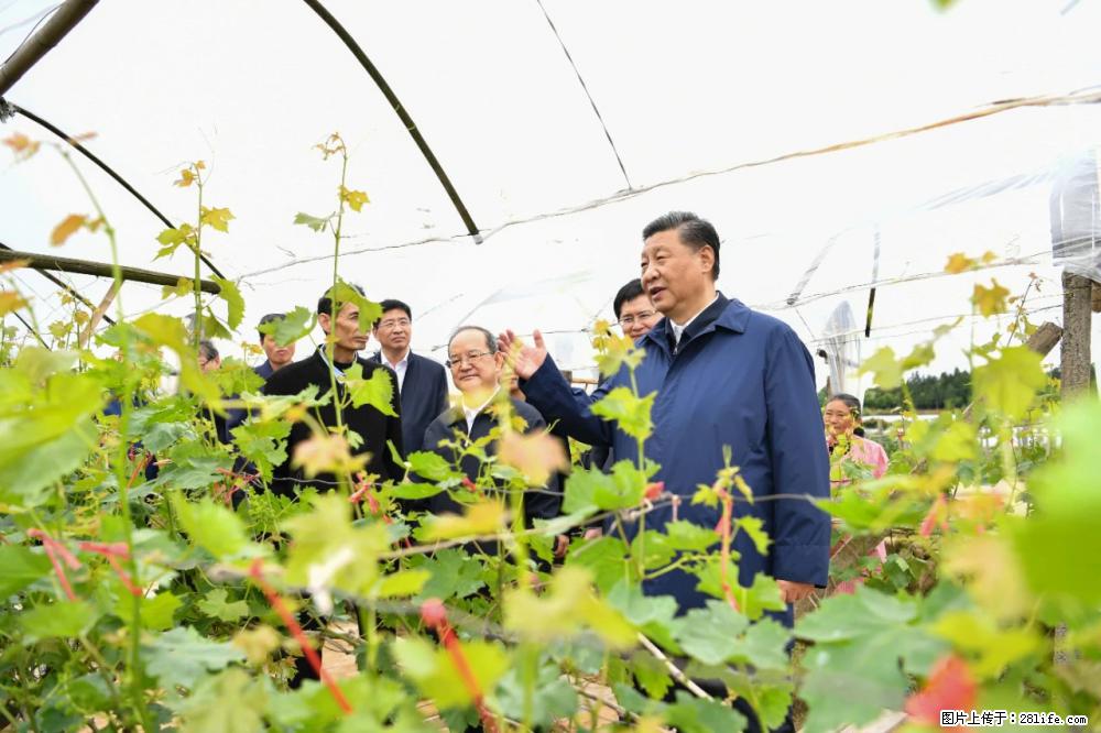 习近平赴广西考察调研 - 济宁生活资讯 - 济宁28生活网 jining.28life.net