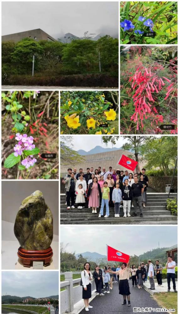 “粤灌文化 美好生活”油茶文化主题活动在广东深圳成功举办 - 济宁生活资讯 - 济宁28生活网 jining.28life.net