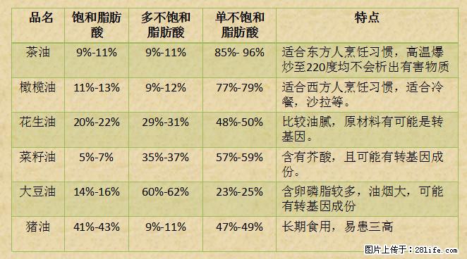 揭秘茶油的5大核心营养成分！被称为人体健康的“守护盾”！ - 济宁生活资讯 - 济宁28生活网 jining.28life.net