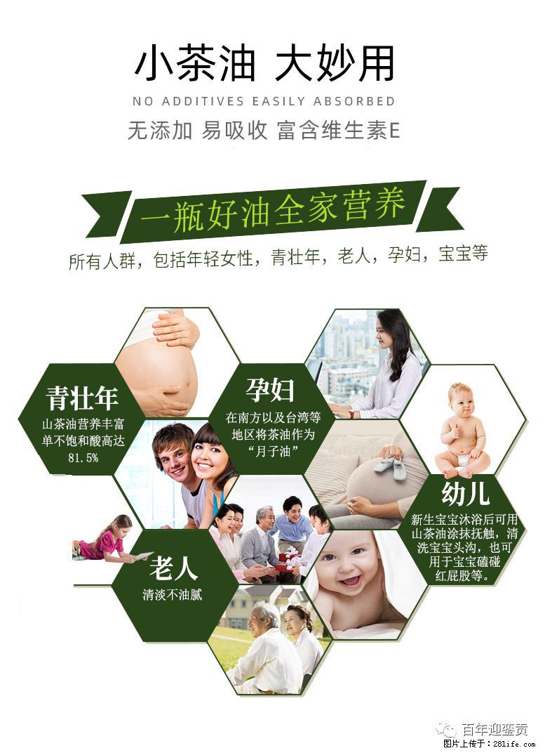 世界没有真相，只有认知，最好的食用油是中国的山茶油！ - 济宁生活资讯 - 济宁28生活网 jining.28life.net
