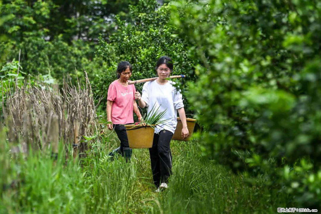 全网追的“扁担女孩”,找了一份暑假工,时薪12元 - 济宁生活资讯 - 济宁28生活网 jining.28life.net