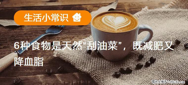 【生活小常识】6种食物是天然“刮油菜”，既减肥又降血脂 - 济宁生活资讯 - 济宁28生活网 jining.28life.net