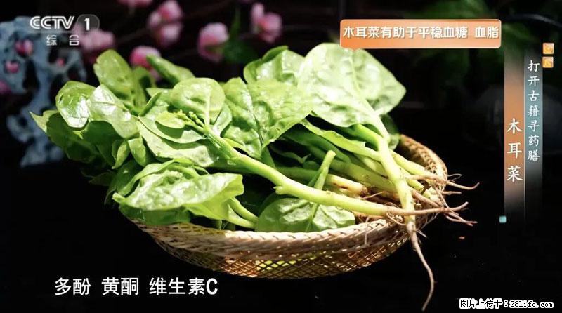 比牛奶补钙还厉害！凉血解毒、稳血糖...这菜冬天必吃，很多人却当草 - 济宁生活资讯 - 济宁28生活网 jining.28life.net