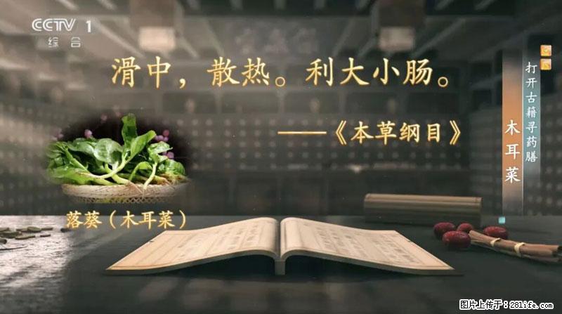 比牛奶补钙还厉害！凉血解毒、稳血糖...这菜冬天必吃，很多人却当草 - 济宁生活资讯 - 济宁28生活网 jining.28life.net