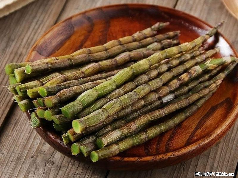 铁皮石斛的作用与功能主治 - 济宁生活资讯 - 济宁28生活网 jining.28life.net